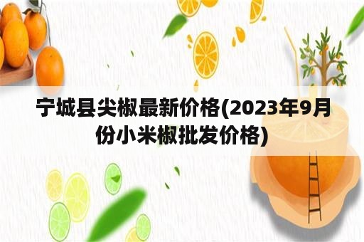 宁城县尖椒最新价格(2023年9月份小米椒批发价格)