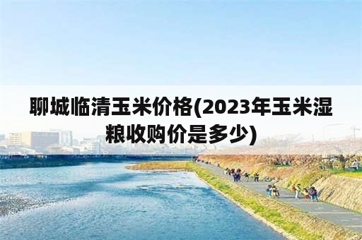 聊城临清玉米价格(2023年玉米湿粮收购价是多少)