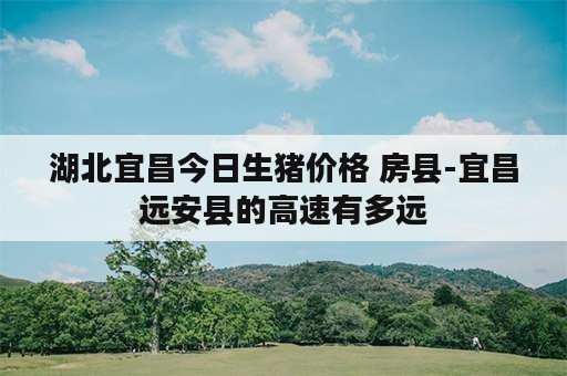 湖北宜昌今日生猪价格 房县-宜昌远安县的高速有多远