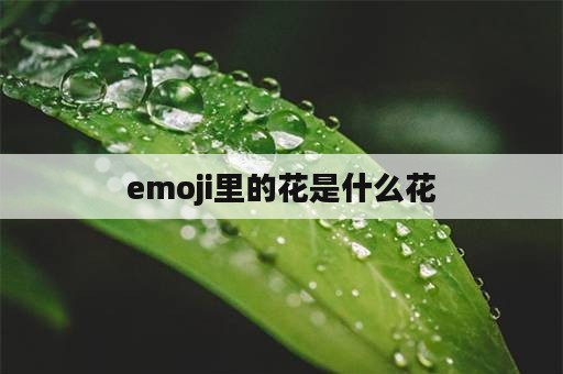 emoji里的花是什么花