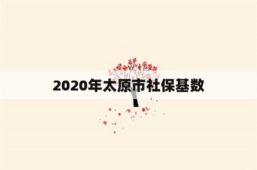 2020年太原市社保基数
