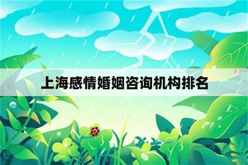 上海感情婚姻咨询机构排名