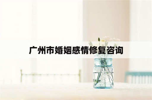 广州市婚姻感情修复咨询
