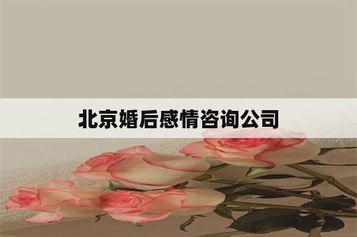 北京婚后感情咨询公司