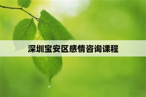 深圳宝安区感情咨询课程