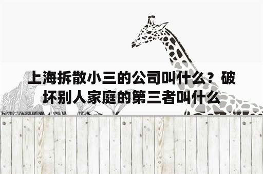 上海拆散小三的公司叫什么？破坏别人家庭的第三者叫什么